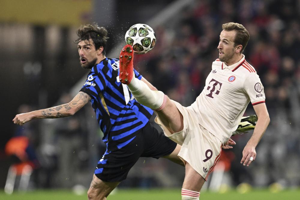 的内啡肽能 的内啡肽能